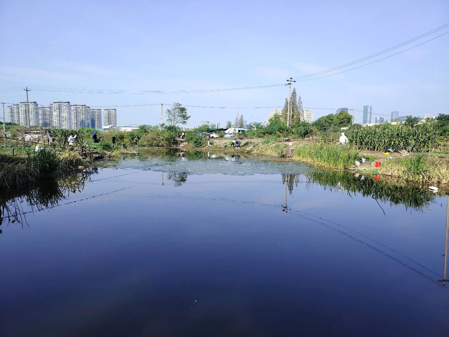 传统钓，台钓好地方